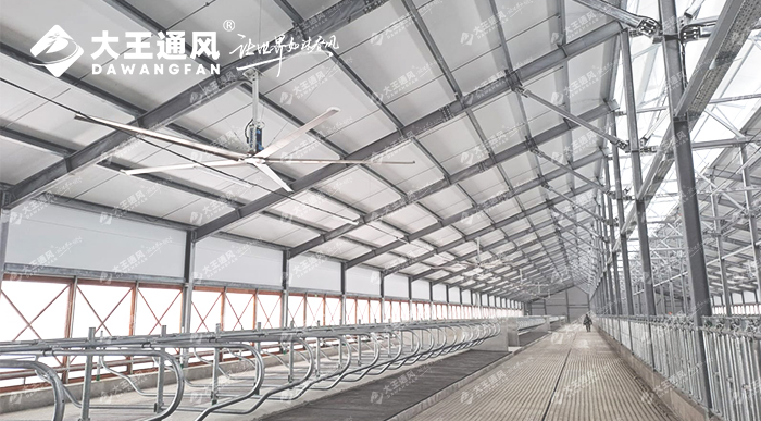 俄羅斯牛場(chǎng)工業(yè)大風(fēng)扇